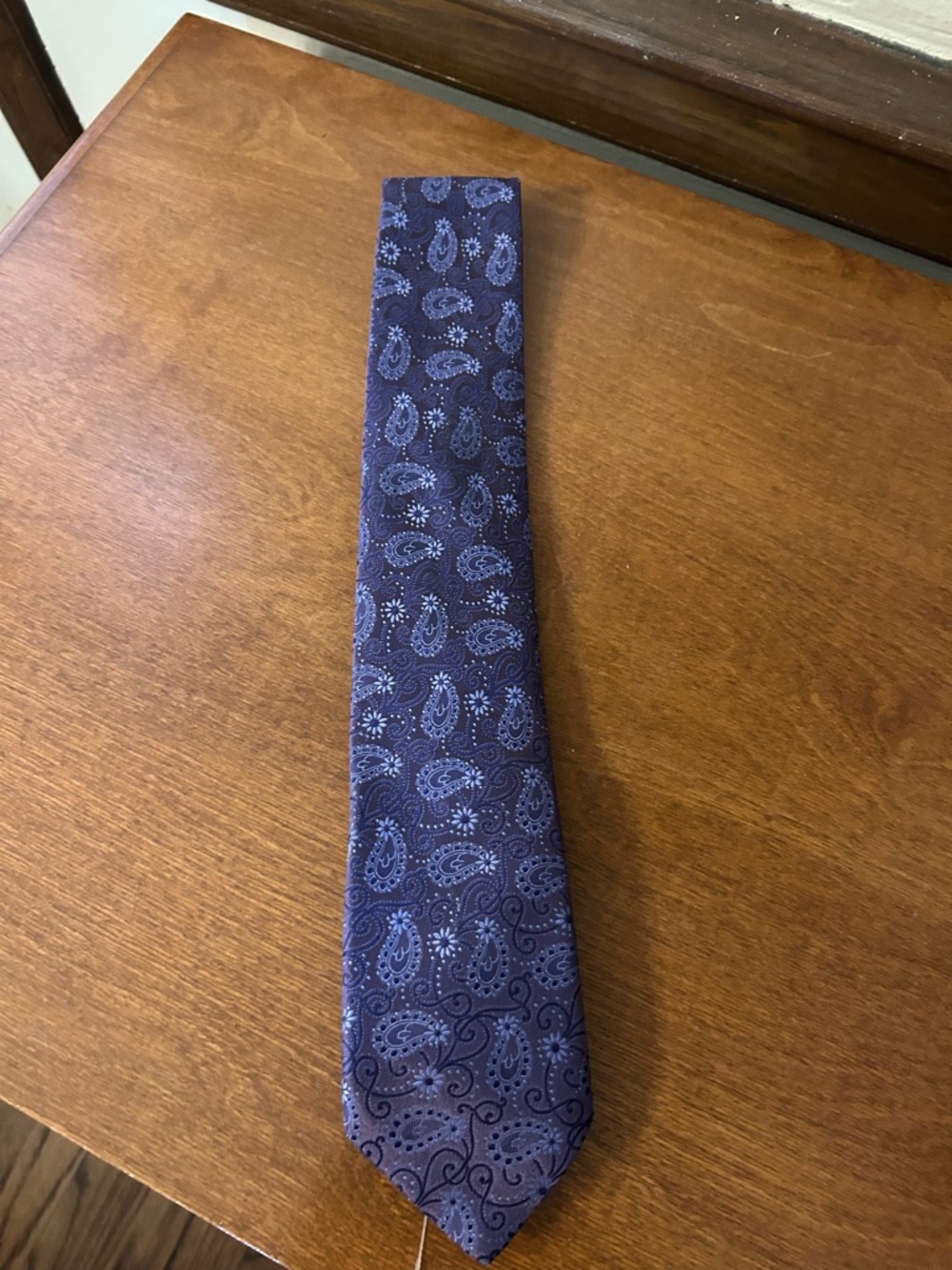 Men's Paisley Silk Tie